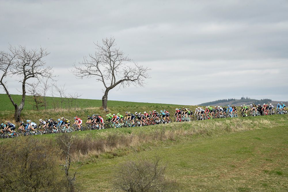 The peloton in action during stage 5 at Paris-Nice