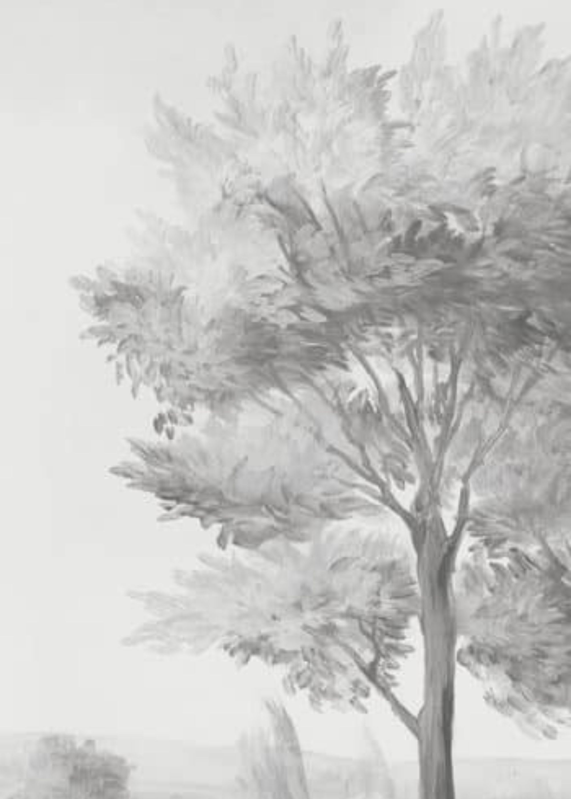 Susan Harter , Pastoral Ash 