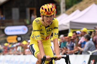 'Not the ending we wanted for this yellow adventure' &ndash; Torstein Tr&aelig;en out of Tour de France due to injuries from Tourmalet crash
