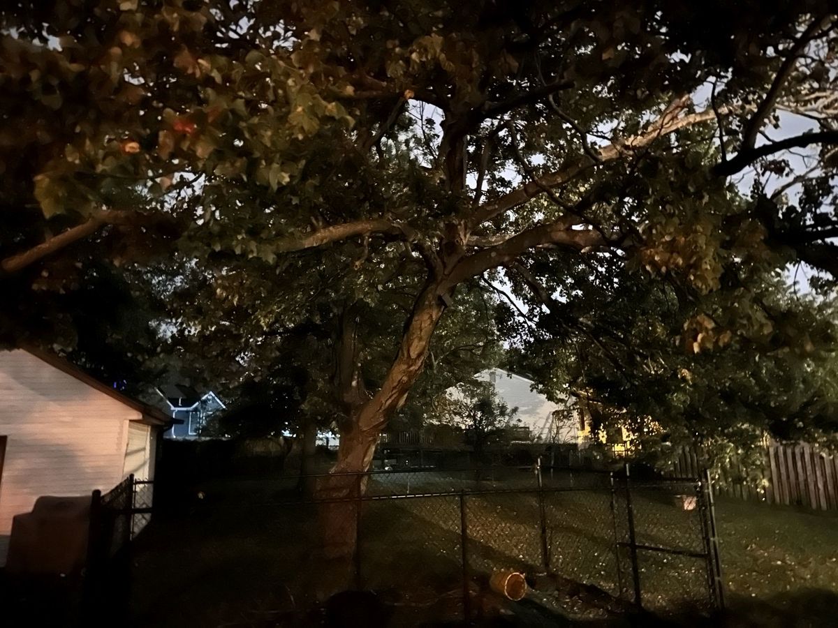 Apple iPhone 14 Pro Max Low Light Sample.