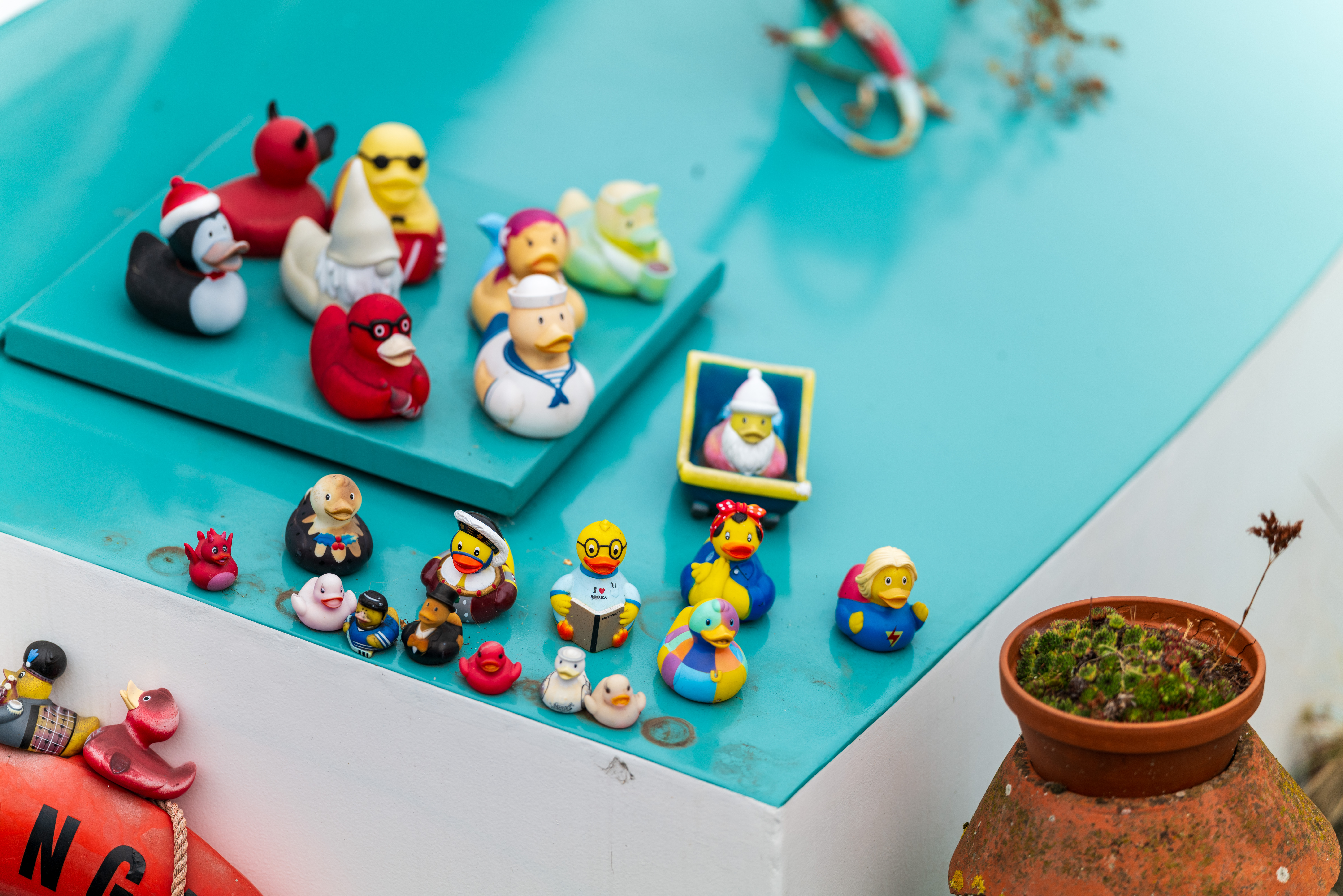 Sigma 135mm f/1.4 DG Art example shot