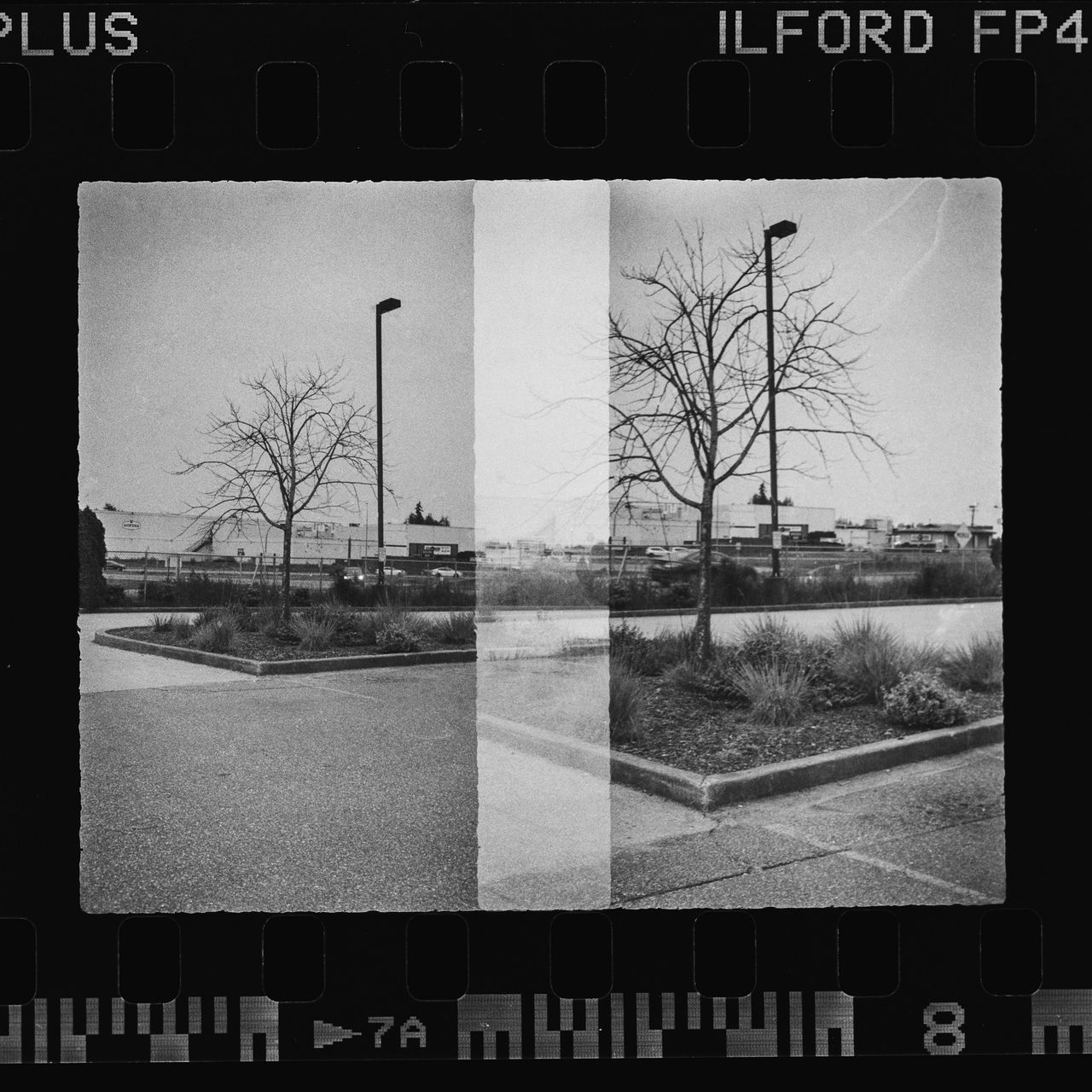 Alfie Tych camera film scan of an urban scene and tree diptic