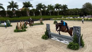 Wellington International Practice Ring