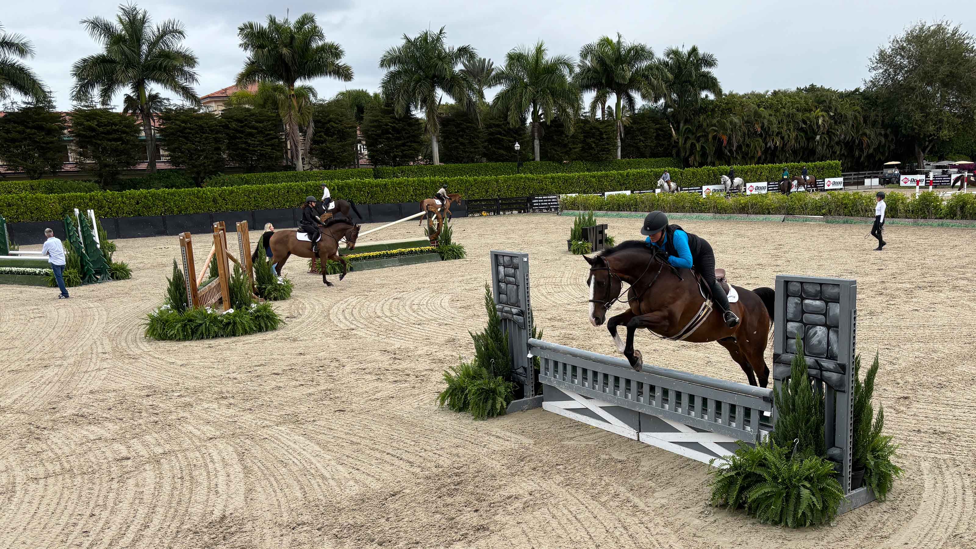 Wellington International Practice Ring