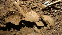 fragments of a human skull in reddish-brown dirt with excavation tools around it