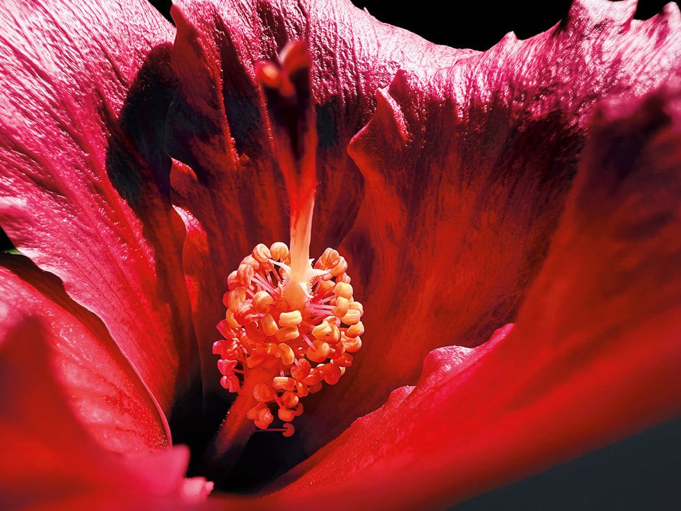 &ldquo;The Cave&rdquo; by Marco Colletta Taranto, Italy for 'Shot on iPhone' competion