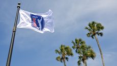 Image of the PGA Tour flag at the 2023 Players Championship at TPC Sawgrass