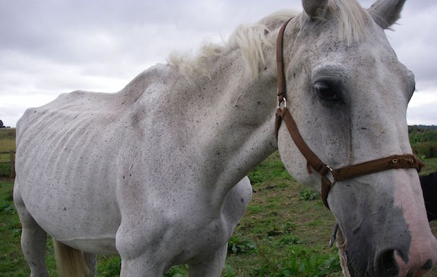 Aramis 1[1]