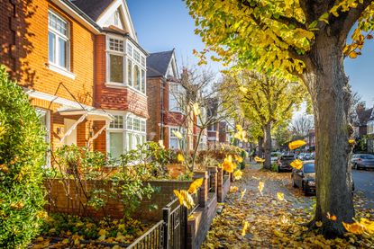 Residential street in Chiswick, London, in Autumn