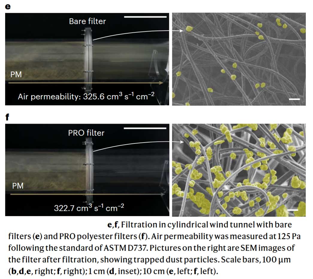 Bio-inspired capillary force-driven super-adhesive filters