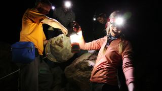 Graslie explores bat caves in Kenya with Bruce Patterson, the Field Museum's Curator of Mammals, in 2014.