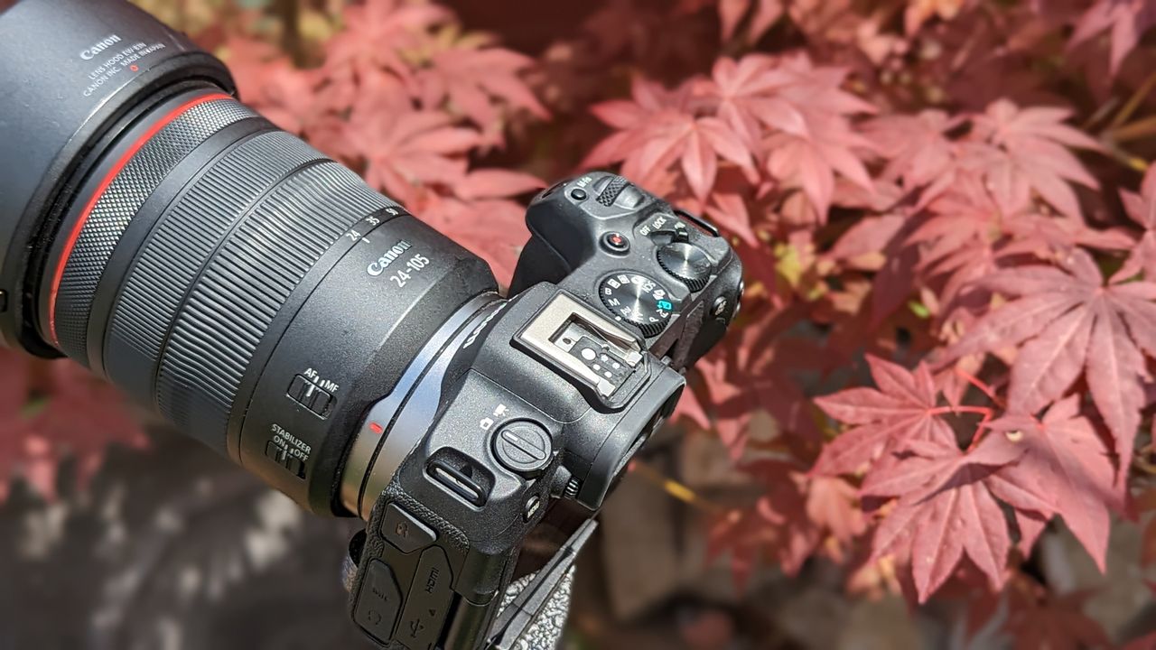 Top side view of the Canon EOS R8