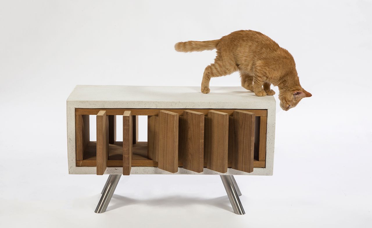 Standard Architecture&#039;s &#039;California Catcube&#039;