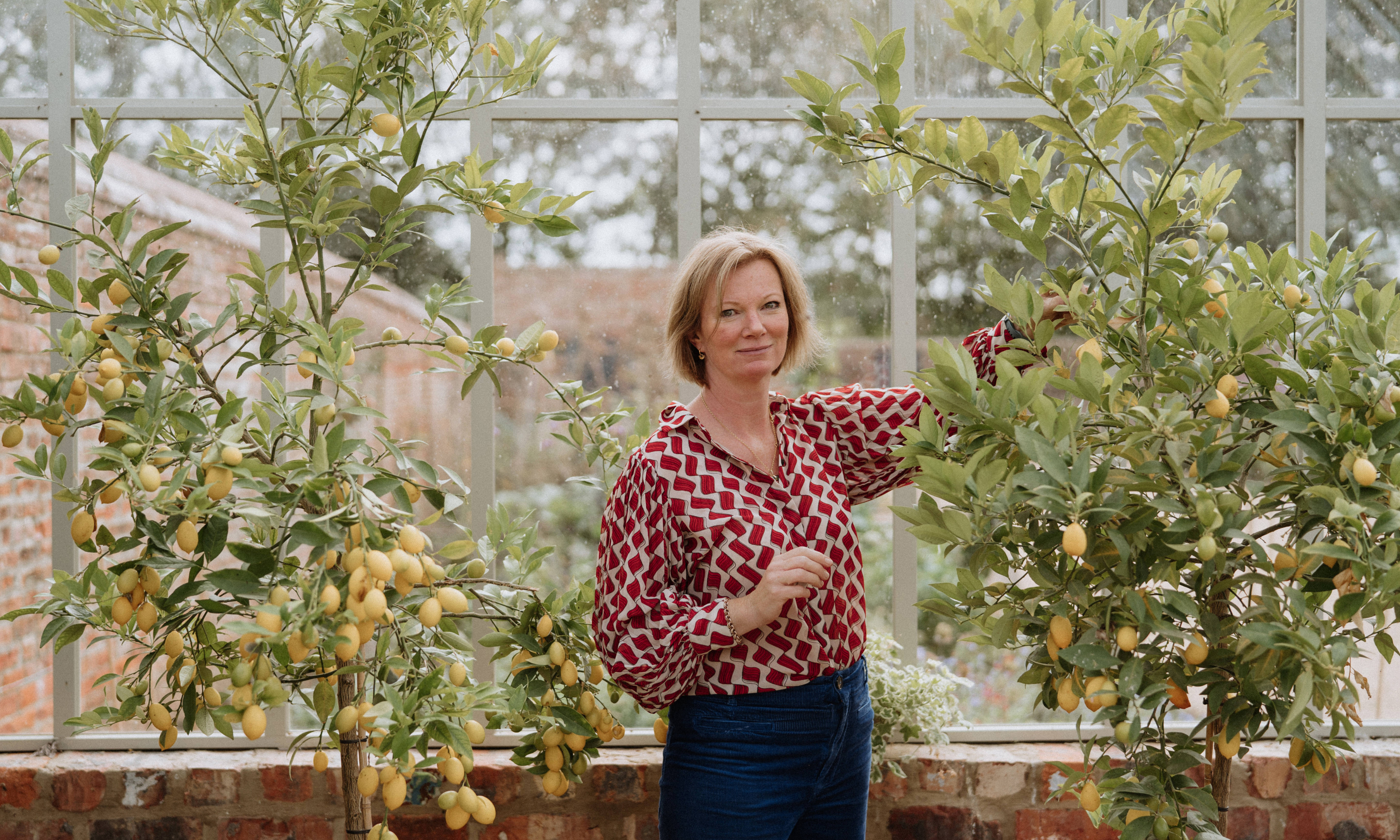 Woman in red printed blouse stood in between two large lemon trees in a greenhouse