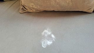 Baking soda on sofa