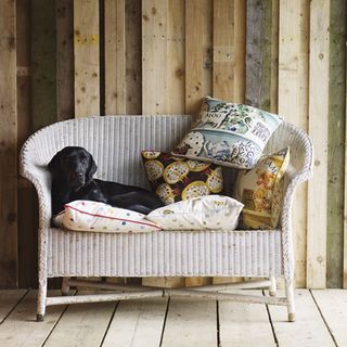 room with black dog on white wooden chair with cushions
