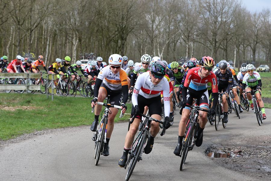 The peloton