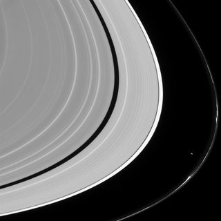 Saturn's moon Prometheus (bright spot at right) sculpts the planet's F-ring, seen here at the far right, through its gravitational influence.