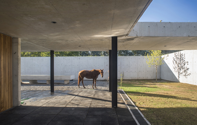 Discretion is key: from a bird&rsquo;s eye view, only horses and greenery are visible