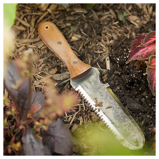 A hori hori knife on the garden floor