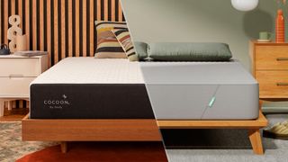 On the left, the Cocoon by Sealy Chill Memory Foam Mattress on a bed frame in a bedroom, some cushions piled up at the head of the bed. On the right, the Siena 10" Signature mattress on a bed frame in a bedroom, some pillows placed at the head of the bed.