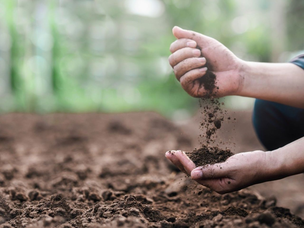 A woman drops soil from one hand to the other