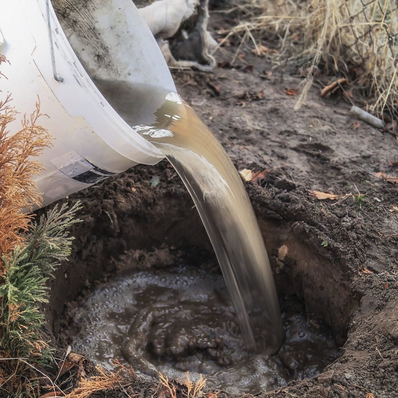 tesying soil drainage