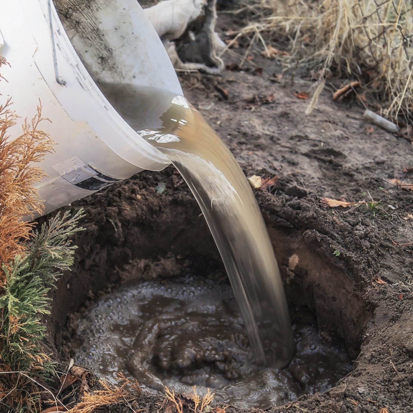 Learn About Well-Draining Soil - How To Tell If Soil Is Draining Well ...