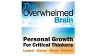 ​The Overwhelmed Brain