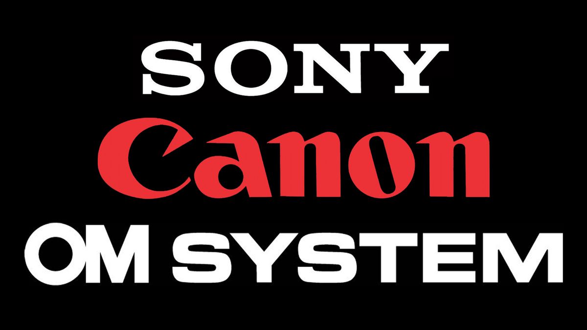 There&#039;s a new &quot;big three&quot; in mirrorless cameras: Sony, Canon and Olympus