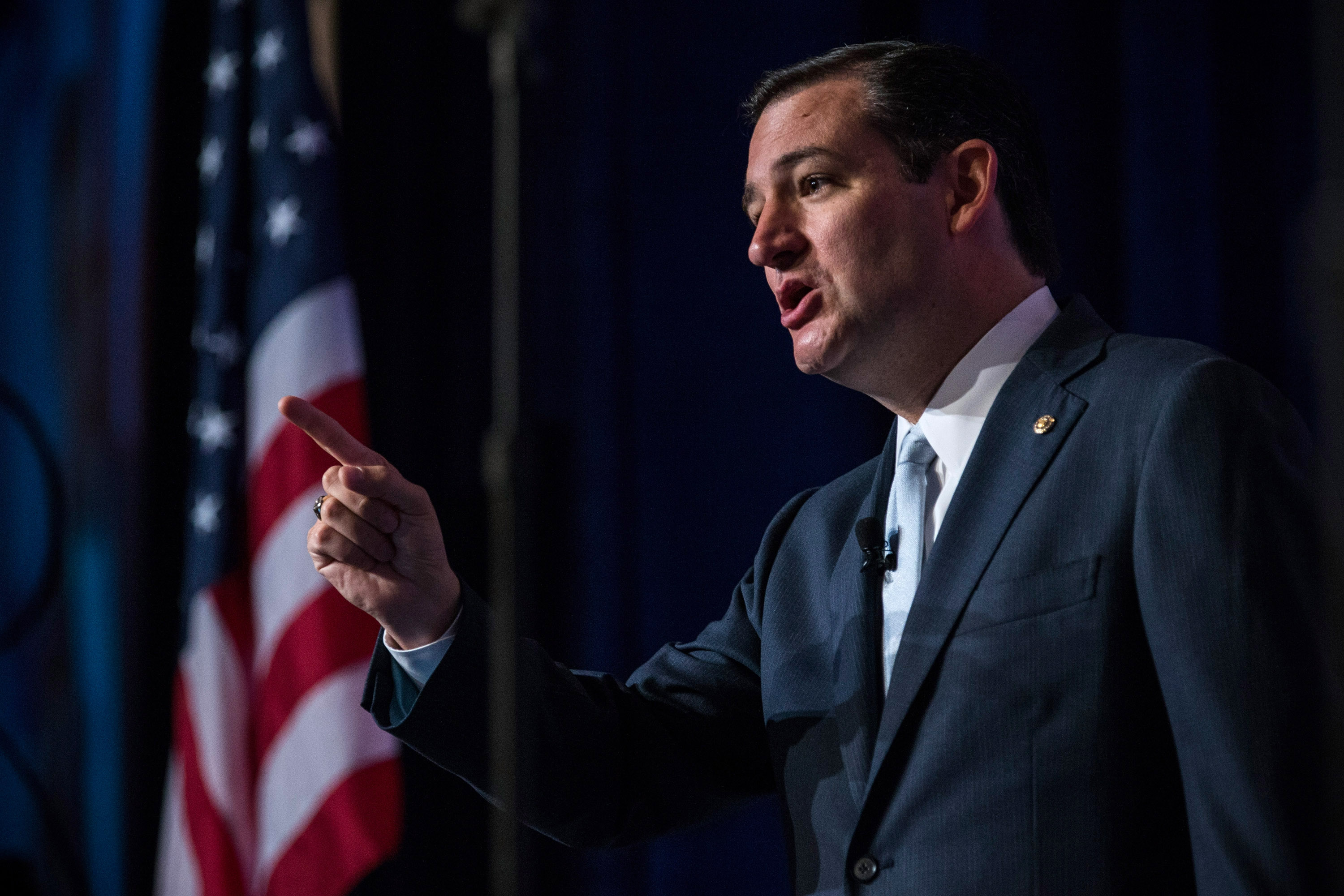 Ted Cruz: 'Abolish the IRS'