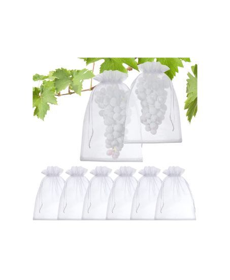 Transparent Protection Bags for Fruit Trees