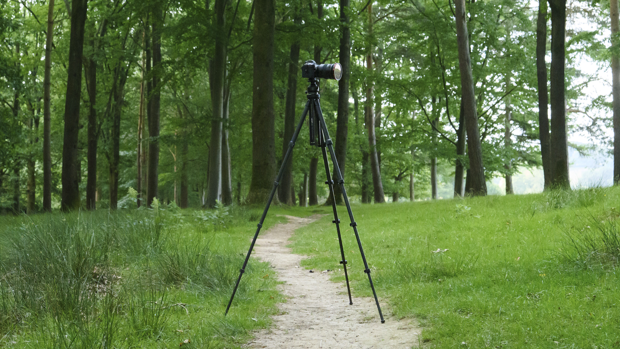 Heipi 3-in-1 Travel Tripod W28S with camera mounted on it, in woodland