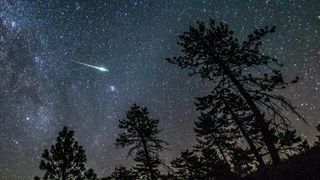 A meteor from the 2016 Perseid meteor shower streaks across the night sky above some pine trees in the Cleveland National Forest. Mount Laguna, San Diego County, California. USA