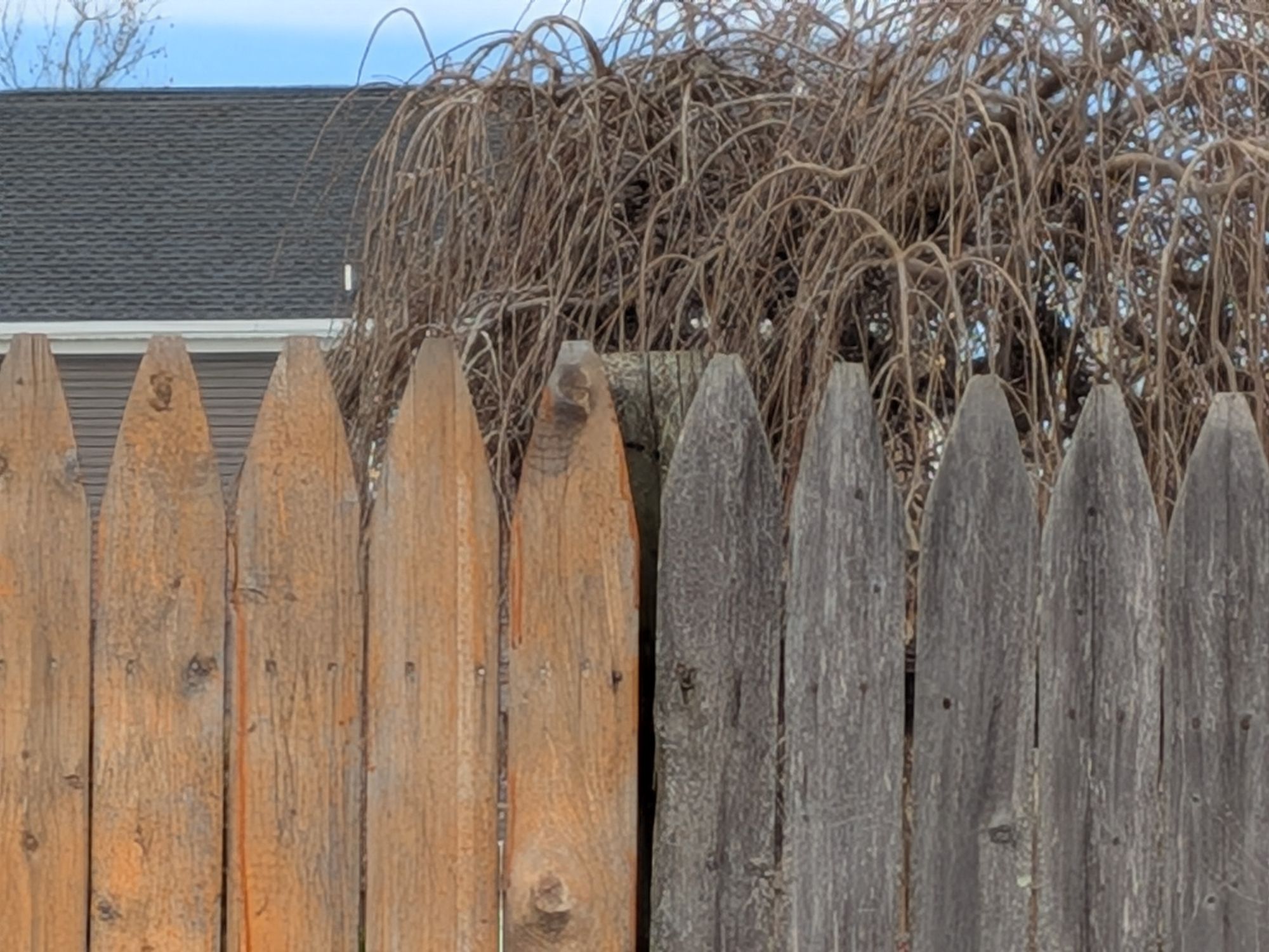 Google Pixel 10a camera sample.