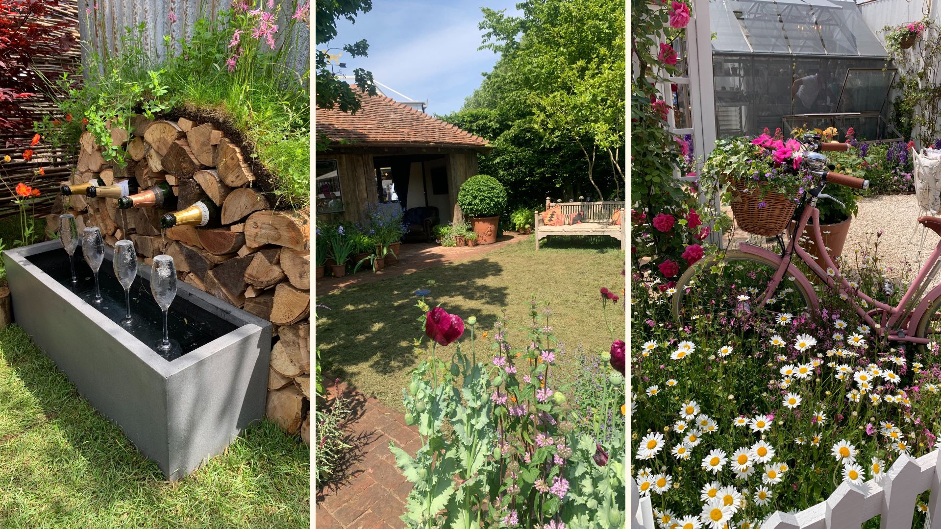 Compilation garden images to show RHS Chelsea garden Show 2025 highlights