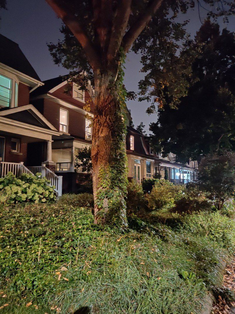 Nightscape sample