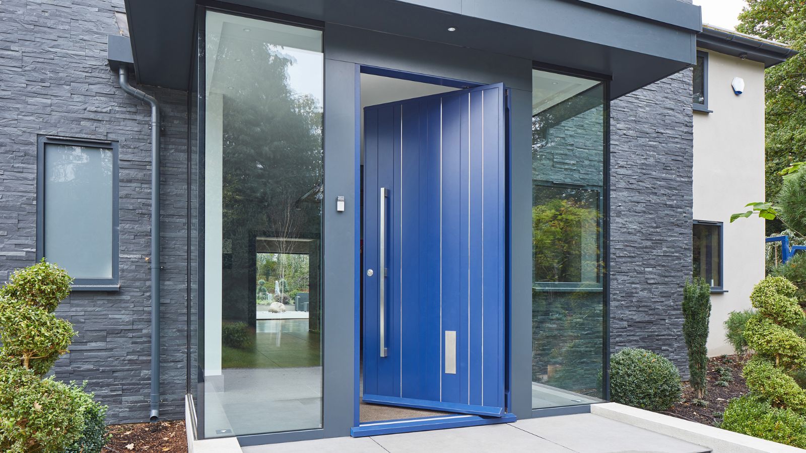 How to get rid of boxelder bugs outside your house expert tips