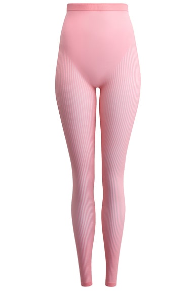 Striped High Waisted Legging