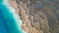 Flight over untouched nature , coastline and rivers.