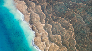 Flight over untouched nature , coastline and rivers.