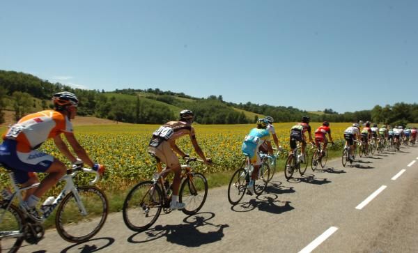 The peloton zips through sunflower fields, a recurring scene in the Tour's rich tapestry