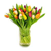 2. All Occasions Tulip Selection Hand-Tied: £23.99 at Amazon
