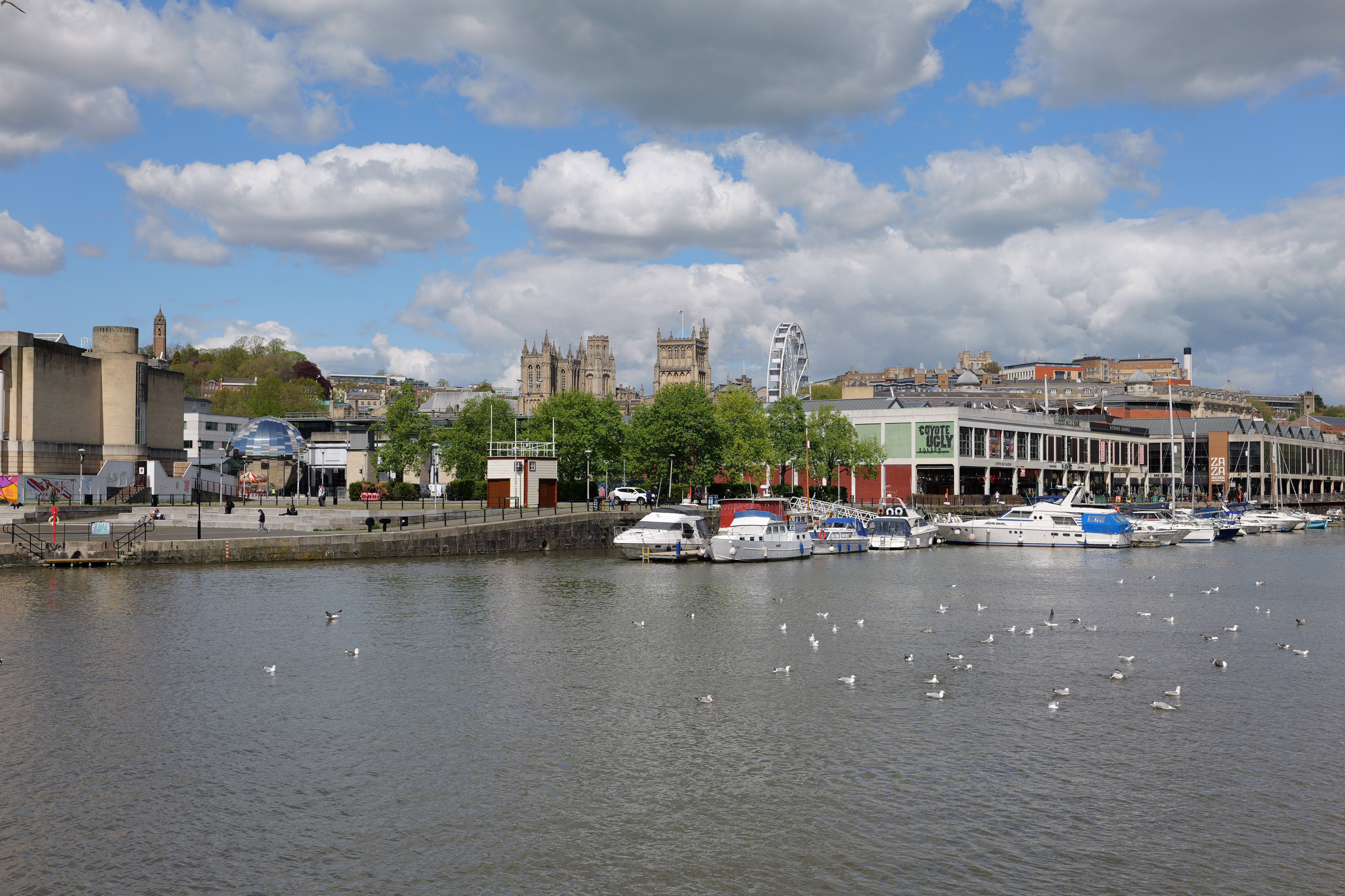 Panasonic Lumix S 40mm f/2 sample image