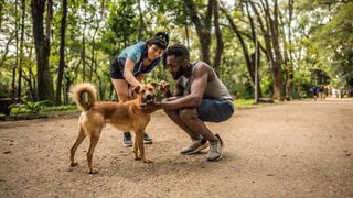 Man and woman petting dog in the park