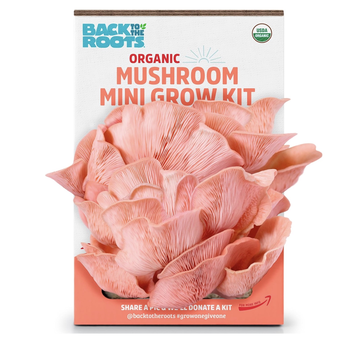 organic mushroom growing kit