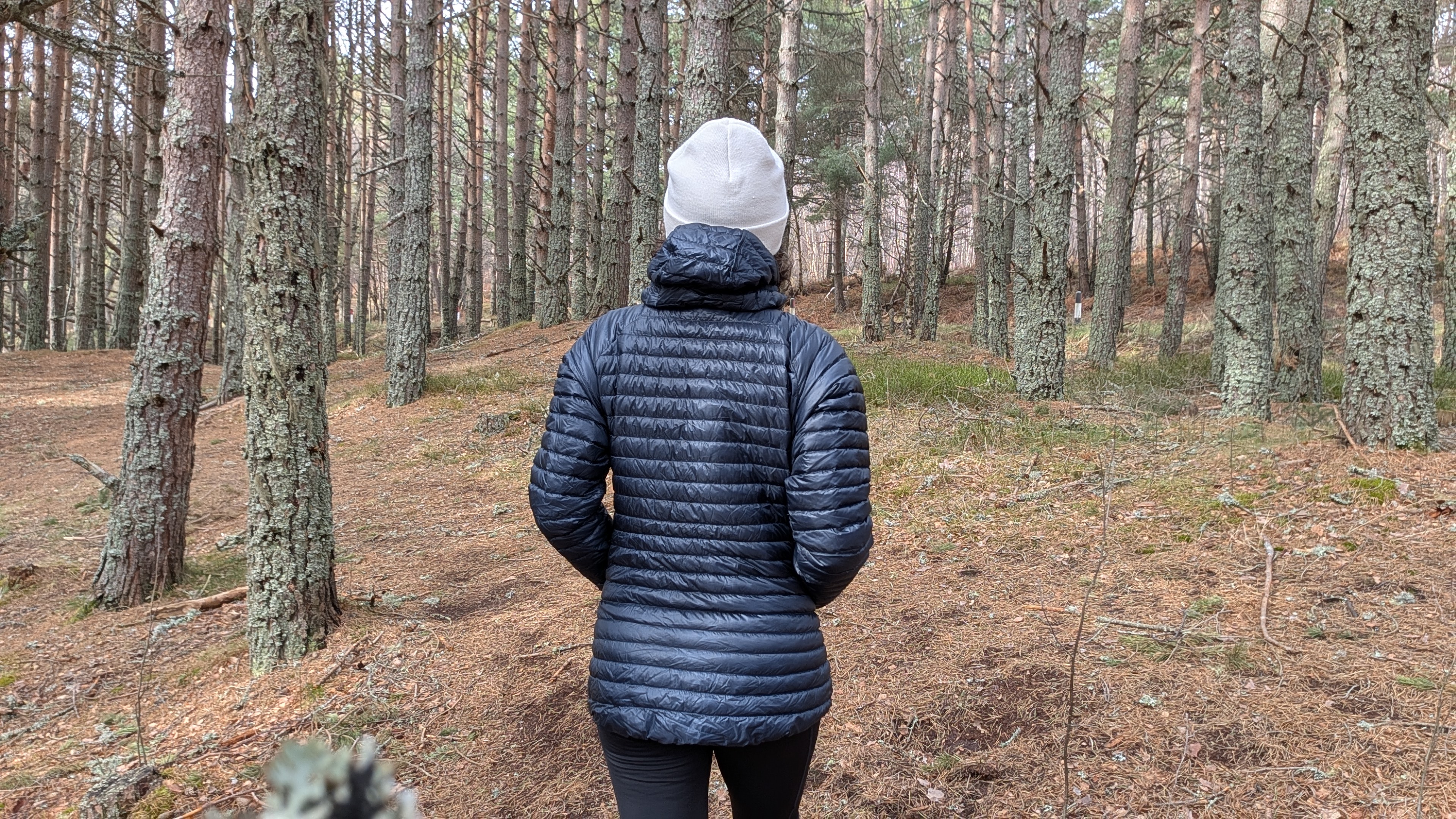 A woman in a forest wearing a dark blue down jacket and white hat turned away from the camera with her hands in her pockets