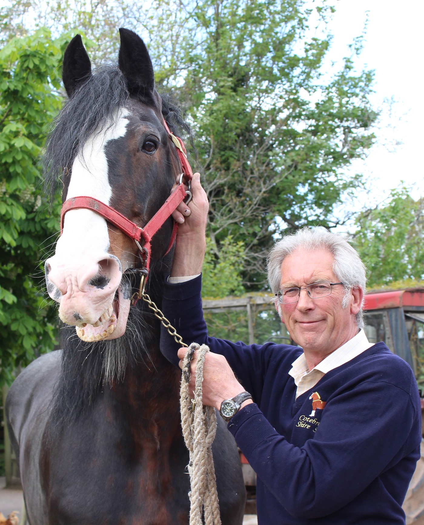 The Shire breeder Alistair King has died aged 74