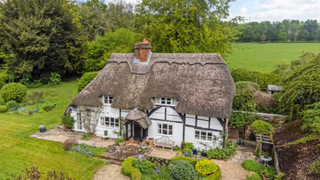 Aerial shot of a thatched cottage