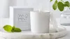 The White Company Wild Mint candle